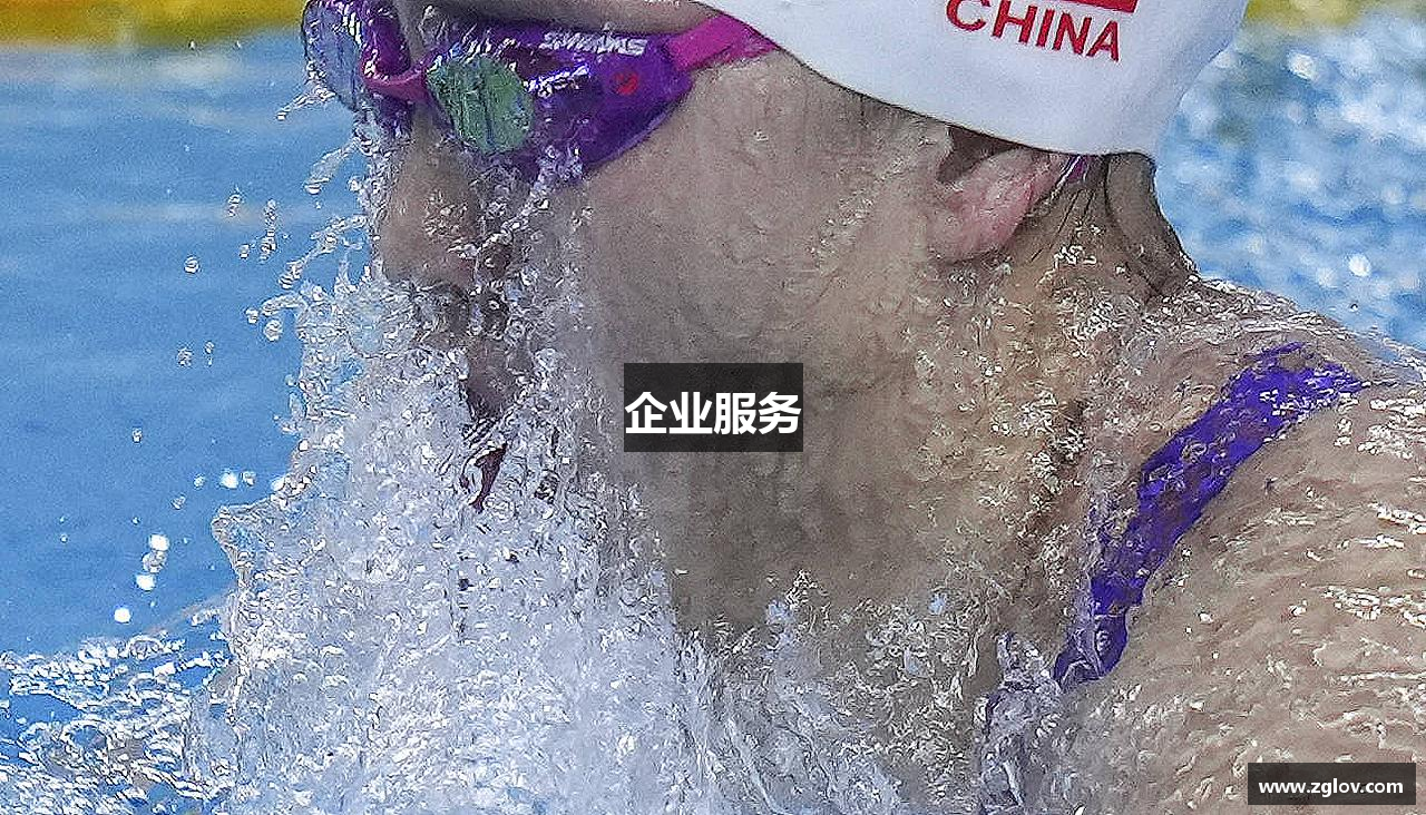 企业服务